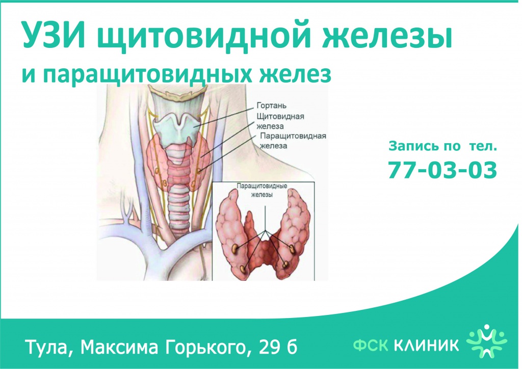 УЗИ щитовидной железы и паращитовидных желез.jpg
